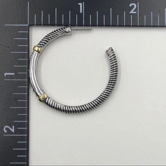 🌼 Designer Inspired 2-Tone Hoop Earrings - Picture 2 of 2